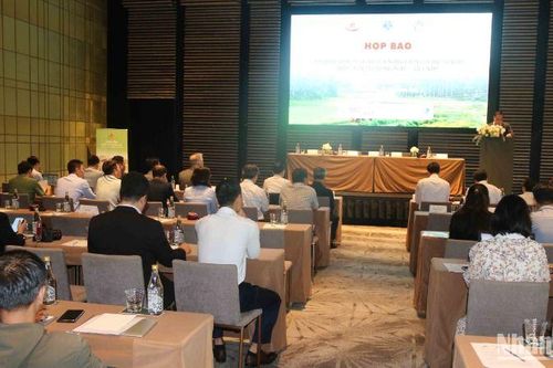 Quảng Nam đăng cai tổ chức Hội nghị quốc tế về Du lịch Nông thôn