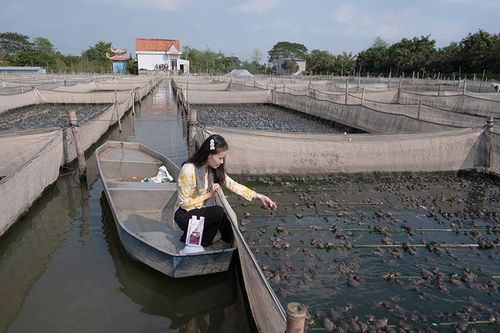 Phát triển kinh tế xanh ở vùng Tây Nam Bộ