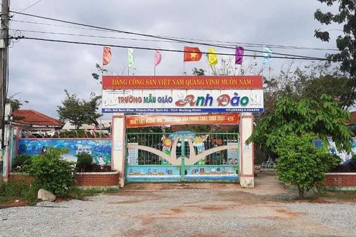Quy trình kiểm tra, xử lý vi phạm của Hiệu trưởng Mẫu giáo Anh Đào đúng quy định