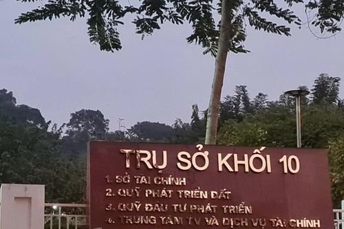 Dừng tổ chức đấu giá để hoàn thiện hồ sơ theo quy định tại Lào Cai