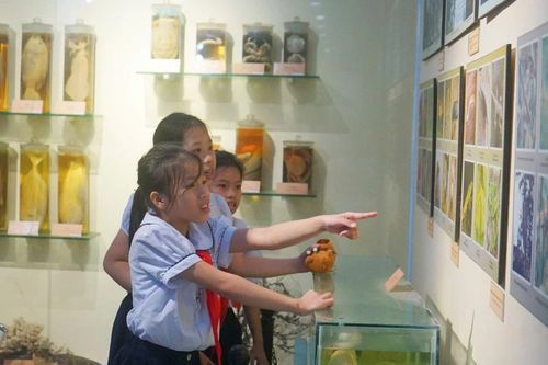 Học sinh, sinh viên thích thú trải nghiệm Ngày hội di sản văn hóa Đà Nẵng