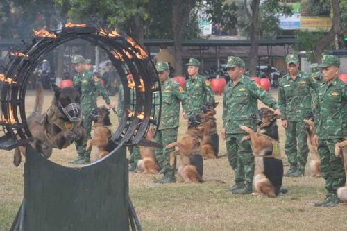 Những 'chiến sĩ đặc biệt' tại Triển lãm quốc phòng quốc tế Việt Nam 2024
