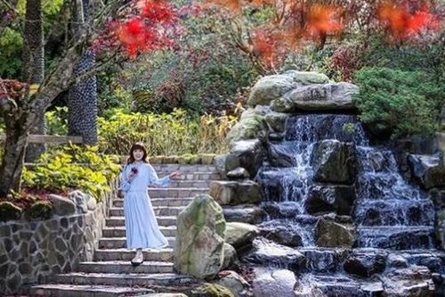 Xứ Đài mùa Thu Đông: Thiên đường cho những người yêu hoa