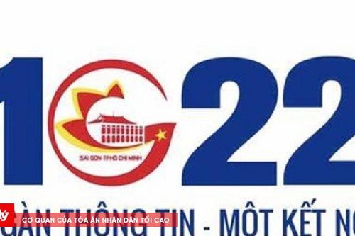 Hơn 11.000 cuộc gọi phản ánh về giao thông, tiếng ồn ở TP.HCM
