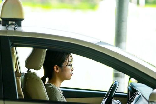 Giáo viên dạy lái ô tô bị thu hồi chứng chỉ hành nghề khi nào?