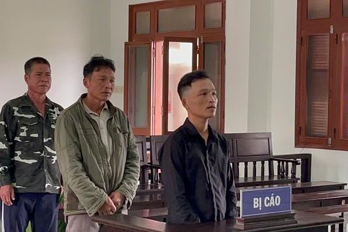 Tàng trữ, sử dụng súng, 2 cha con ở Phú Yên bị án tù