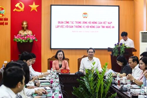 Lãnh đạo Trung ương Hội Nông dân Việt Nam làm việc tại Nghệ An