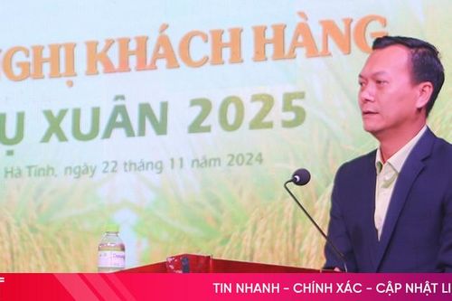 Nhiều giống lúa của ThaiBinh Seed cho năng suất cao tại Hà Tĩnh