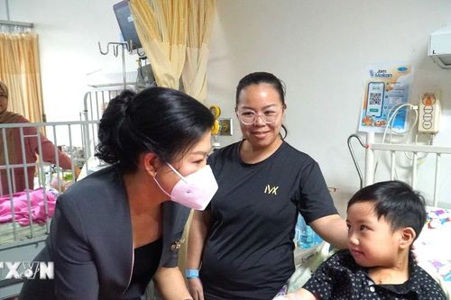 Hình ảnh Phu nhân Ngô Phương Ly thăm Viện Tim Quốc gia Malaysia