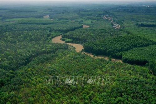 COP29 hướng tới tương lai bền vững: Bảo vệ con người, sinh kế và hệ sinh thái
