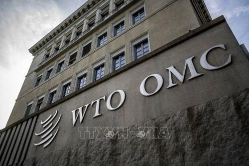 WTO: Tác động kép của AI đối với thương mại toàn cầu