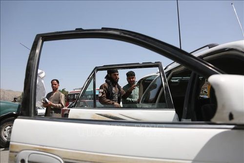 Afghanistan: Các tay súng sát hại ít nhất 10 người tại tỉnh Baghlan