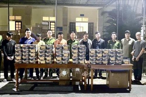 Bắt các đối tượng tàng trữ vũ khí nóng, buôn bán, vận chuyển pháo