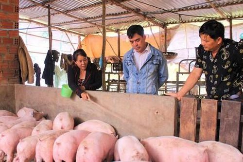 'Chìa khóa' đẩy nhanh tiến độ xây dựng nông thôn mới ở Đắk Lắk