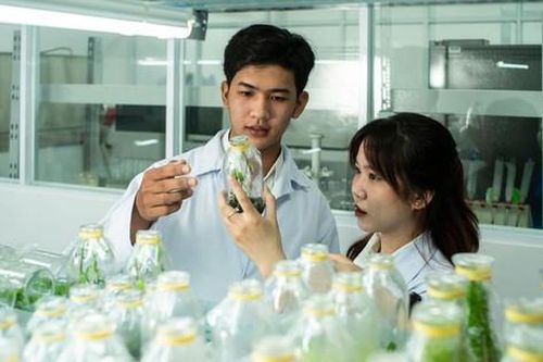 Những nguồn thu bị bỏ ngỏ khi nghiên cứu khoa học