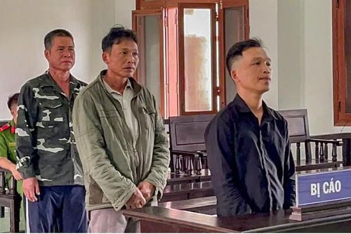 Cất giữ súng trong nhà, cha con 'dắt nhau' vào tù
