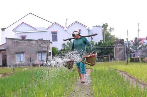 Hội nghị quốc tế về Du lịch nông thôn 2024: Quảng Nam là điểm đến toàn cầu