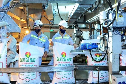 Doanh nghiệp phân bón kỳ vọng hưởng lợi lớn nhờ áp thuế VAT 5%