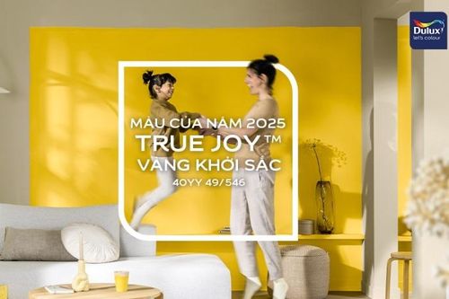 AkzoNobel công bố vàng khởi sắc là Màu của năm 2025