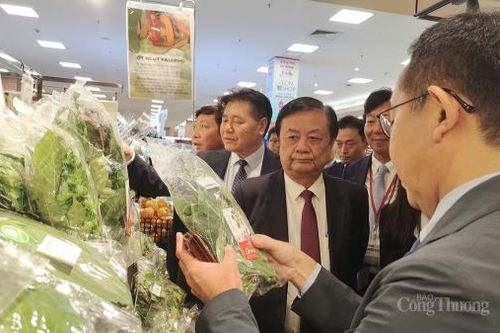 Việt Nam và Nhật Bản tìm hướng thúc đẩy giao thương nông sản