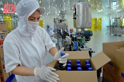 Góp phần nâng tầm sản phẩm OCOP