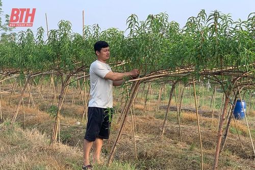 Nâng cao năng lực lãnh đạo, sức chiến đấu của chi bộ thôn, tổ dân phố