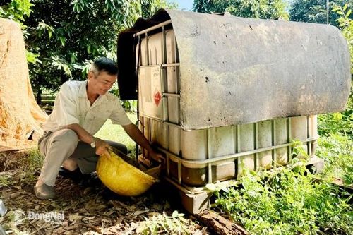 Xây dựng chuỗi giá trị nông nghiệp xanh