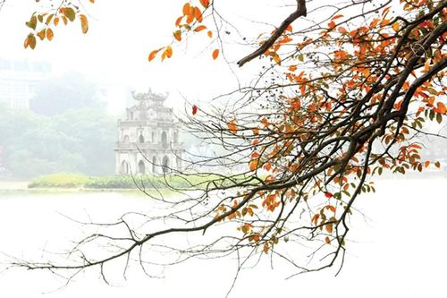 Trang thơ tháng 11