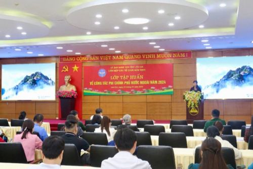Hơn 100 học viên tham gia tập huấn về công tác phi chính phủ nước ngoài năm 2024