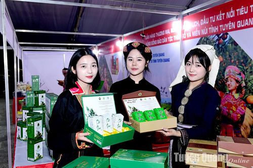 Nông sản vùng cao xuống phố