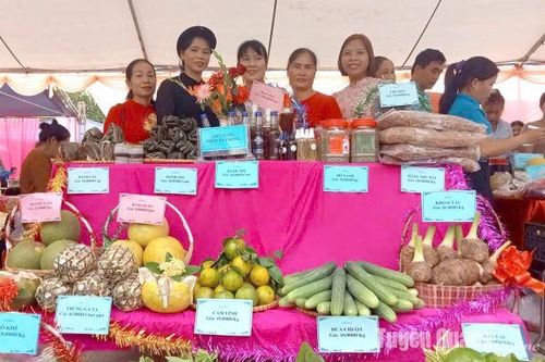Tân Thịnh phát triển nông sản