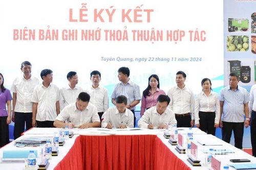 Kết nối cung - cầu tiêu thụ sản phẩm hàng hóa tỉnh Tuyên Quang năm 2024