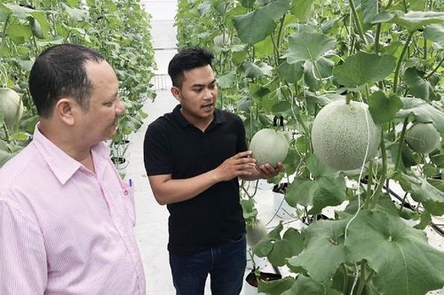 Nông nghiệp hữu cơ: Xu hướng phát triển của Quảng Điền