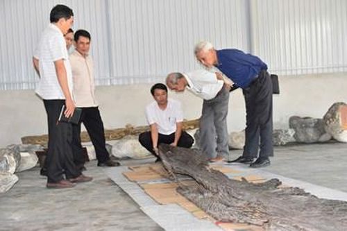 Tôn vinh nhiều cá nhân hiến tặng hiện vật cho bảo tàng