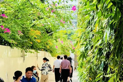 Từng bước khẳng định vai trò tiên phong trong lĩnh vực y tế xanh