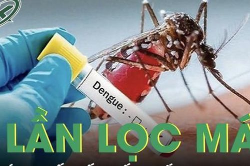 6 lần lọc máu cứu bé trai sốc sốt xuất huyết nặng, suy đa cơ quan