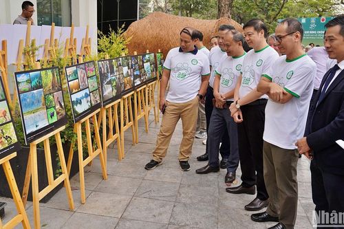 Chung tay giữ rừng, chống bão và đối xử hài hòa với động vật hoang dã