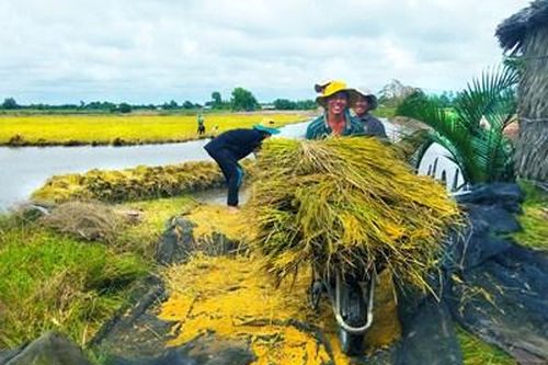 Đồng hành, thúc đẩy phát triển nông nghiệp hữu cơ