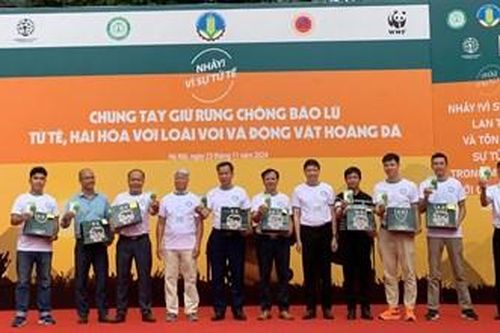 Giữ được rừng sẽ giảm được thiên tai