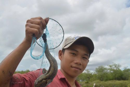 Nghề độc, lạ vùng Đất Mũi