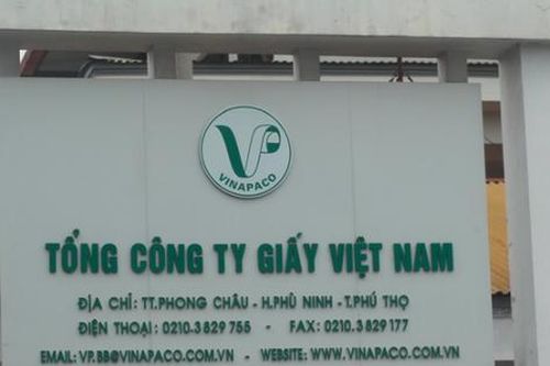 Quyết định thanh tra tại Tổng công ty Giấy Việt Nam