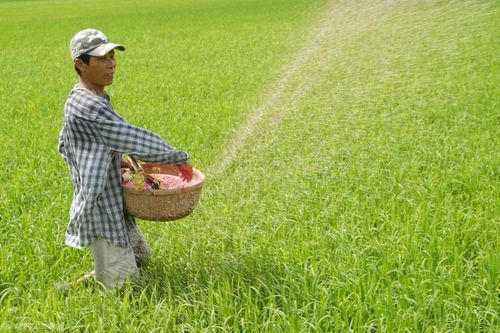 'Ba nhà' chịu thiệt như thế nào khi phân bón không chịu thuế GTGT?
