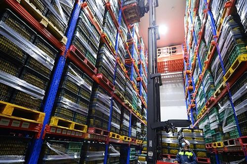 Sắp có nhà máy chiếu xạ nông sản công suất 1.000 tấn/ngày đêm ở Hậu Giang
