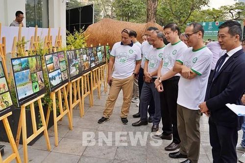 Triển lãm đặc trưng sinh thái và đa dạng sinh học của rừng