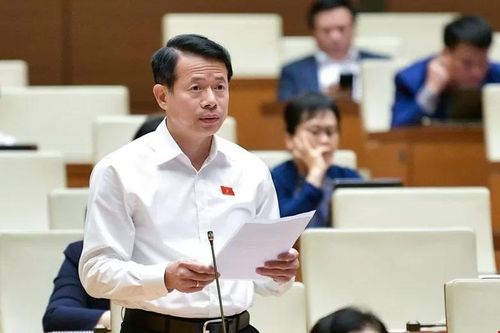 Đại biểu Quốc hội: Cần thống nhất một đầu mối quản lý nhập khẩu, kinh doanh hóa chất