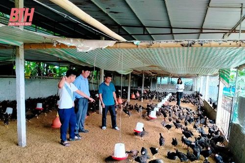 Phát huy hiệu quả các mô hình khuyến nông