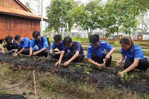 Sinh viên Trường Cao đẳng Cộng đồng Đồng Tháp tham gia trải nghiệm nông nghiệp du lịch