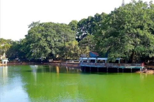 Kỳ cuối: Chủ động thu hồi thất thoát và kiểm điểm tập thể, cá nhân vi phạm