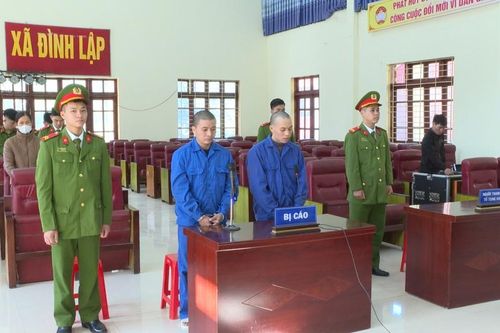 Tòa án nhân dân tỉnh xét xử lưu động vụ án tổ chức cho người khác nhập cảnh trái phép