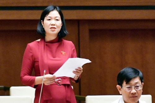 Đại biểu Nguyễn Thị Lan Anh tham gia ý kiến về Dự thảo Luật Hóa chất